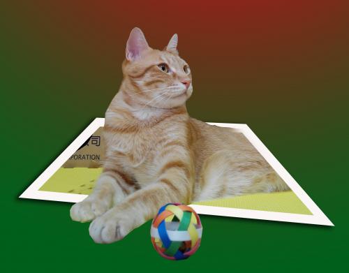 PHOTOSHO-躍出照片